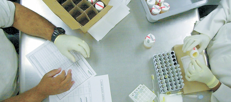 How Long Do Drug Test Results Take To Arrive? An FAQ