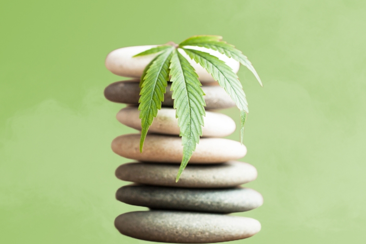 Meditating While High: Mindfulness and Marijuana