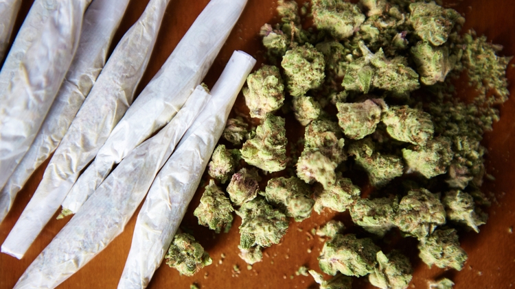 What Does Good Weed Look Like? Train Your Senses To Detect It