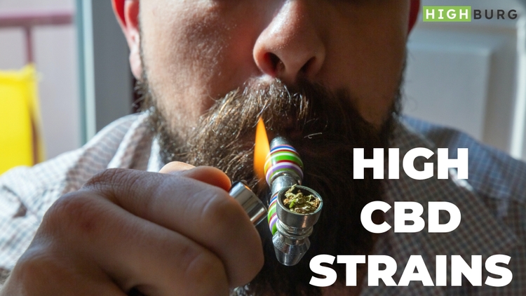 Your Guide on High CBD Strains In Canada in 2022