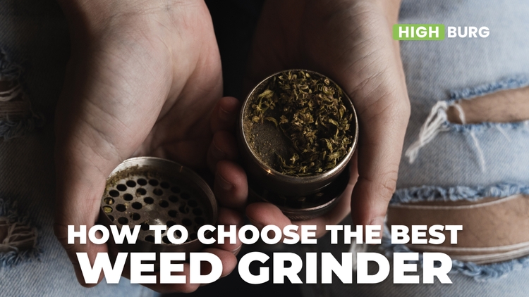 How to choose the best weed grinder?
