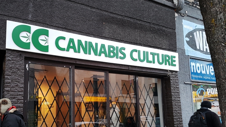 Survey: 72% of Canada's Cannabis Users Buy from Legal Businesses