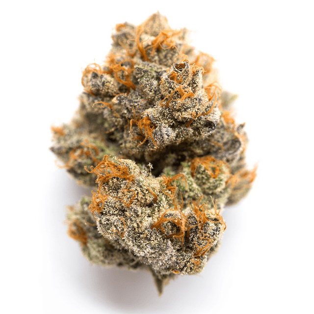 strain-frosty-logo-image