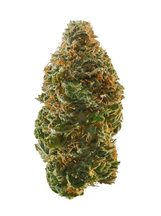 strain-wildberry-logo-image