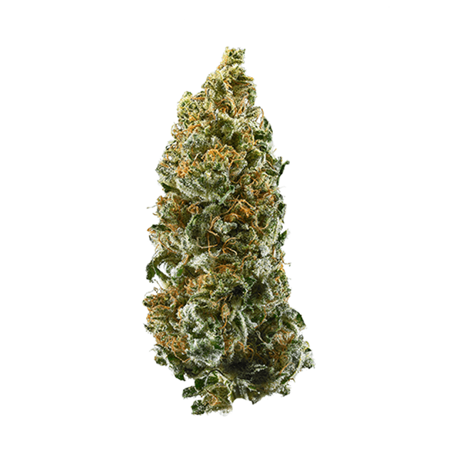 strain-kaia-kush-logo-image