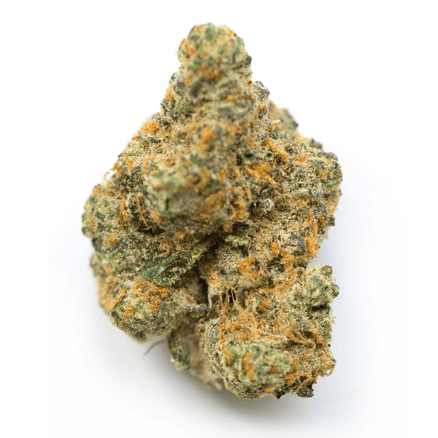 strain-oca-gold-logo-image