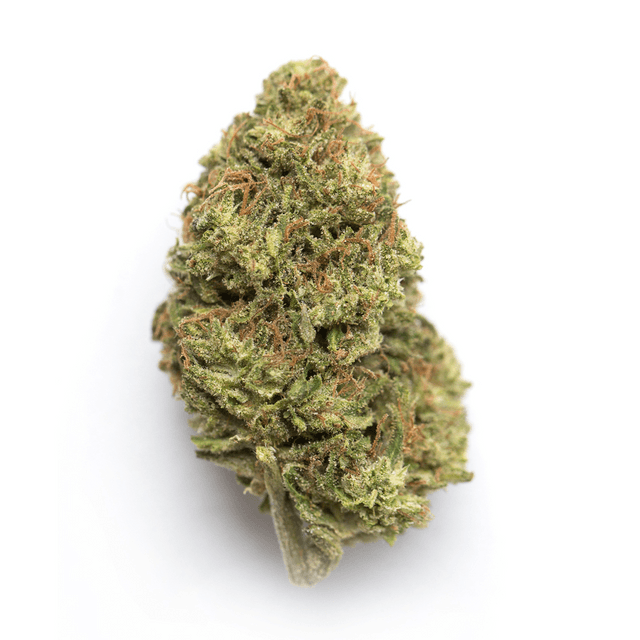 strain-ozk-logo-image
