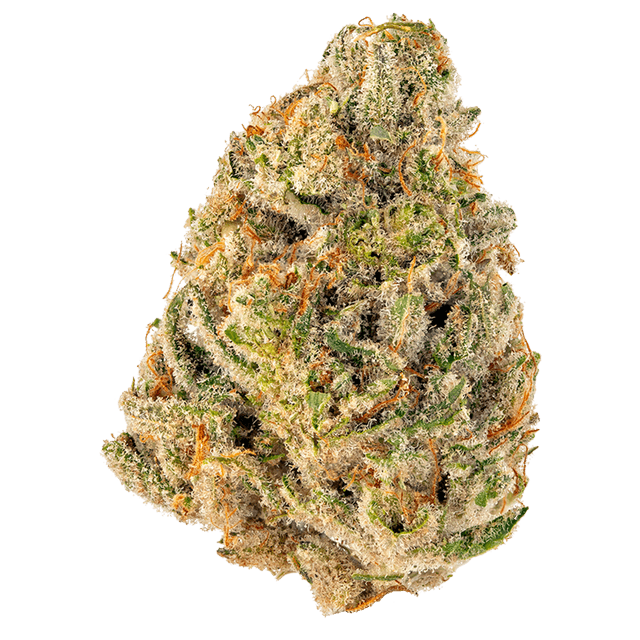 strain-commerce-city-kush-logo-image