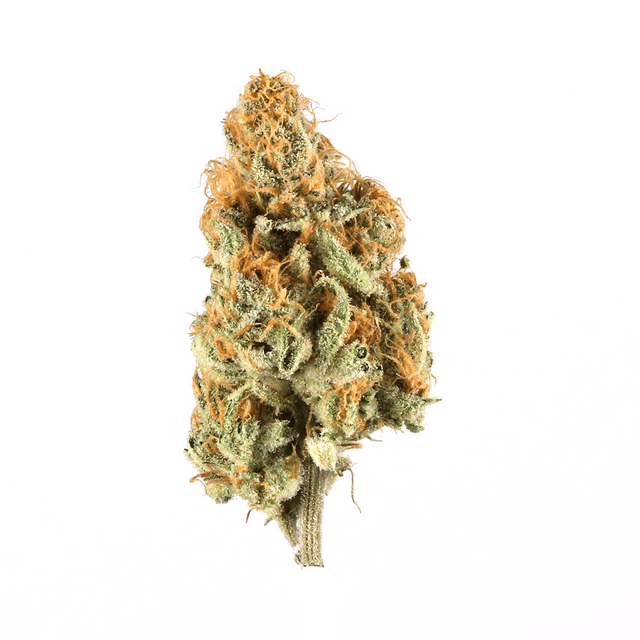 strain-ice-kush-logo-image