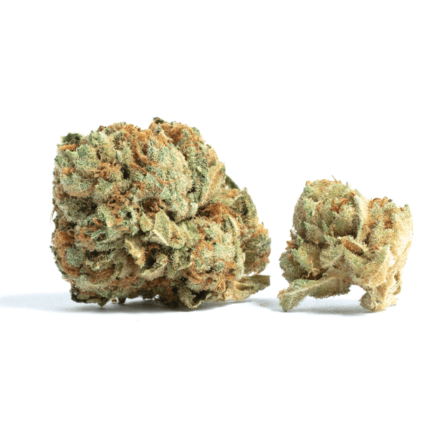 strain-snow-bud-logo-image