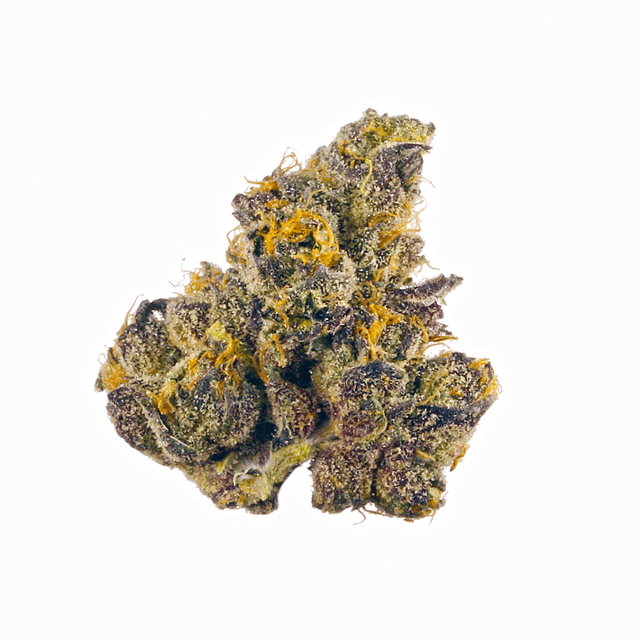 strain-crescendo-rbx1-logo-image