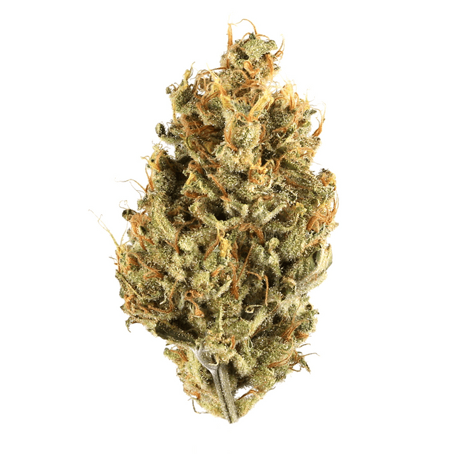strain-professor-chaos-logo-image